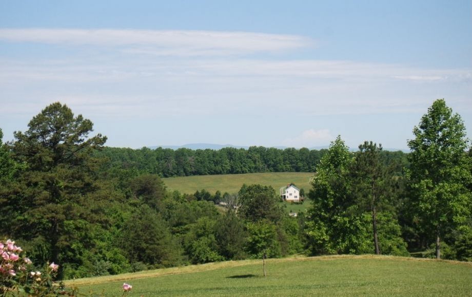 Image for WELL MAINTAINED 3 BR/3.5 BA HOMEon 10+ ACRES in CULPEPER, VA - SOLD to the HIGHEST BIDDER!!