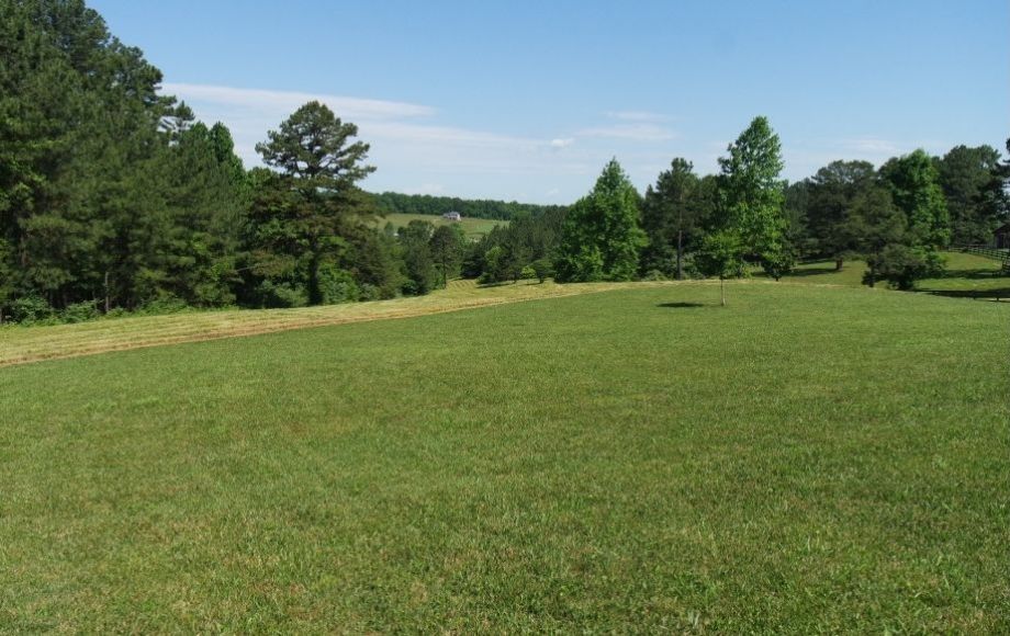 Image for WELL MAINTAINED 3 BR/3.5 BA HOMEon 10+ ACRES in CULPEPER, VA - SOLD to the HIGHEST BIDDER!!