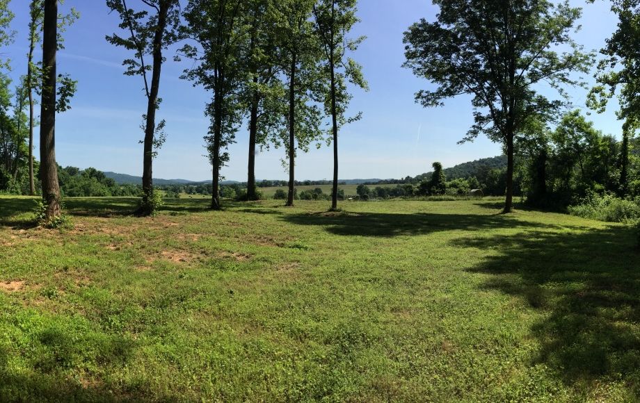 Image for 29 ACRES in the FOOTHILLS of the BLUE RIDGE MOUNTAINS in MADISON COUNTY, VA—ONLINE ONLY BIDDING