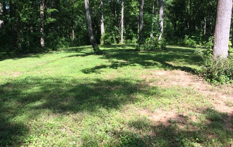 Image for 29 ACRES in the FOOTHILLS of the BLUE RIDGE MOUNTAINS in MADISON COUNTY, VA—ONLINE ONLY BIDDING