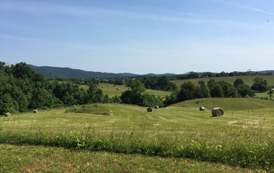 Image for 29 ACRES in the FOOTHILLS of the BLUE RIDGE MOUNTAINS in MADISON COUNTY, VA—ONLINE ONLY BIDDING