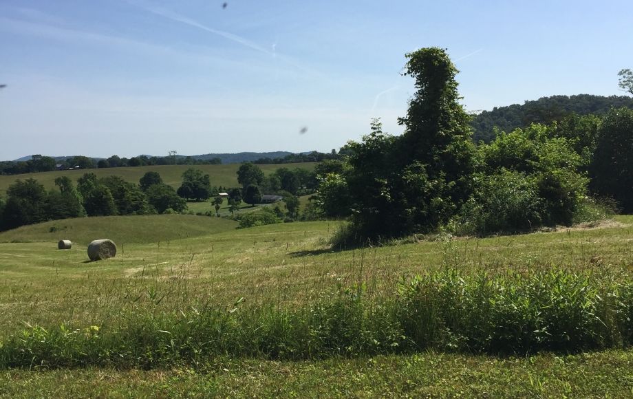 Image for 29 ACRES in the FOOTHILLS of the BLUE RIDGE MOUNTAINS in MADISON COUNTY, VA—ONLINE ONLY BIDDING