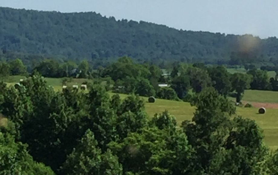 Image for 29 ACRES in the FOOTHILLS of the BLUE RIDGE MOUNTAINS in MADISON COUNTY, VA—ONLINE ONLY BIDDING