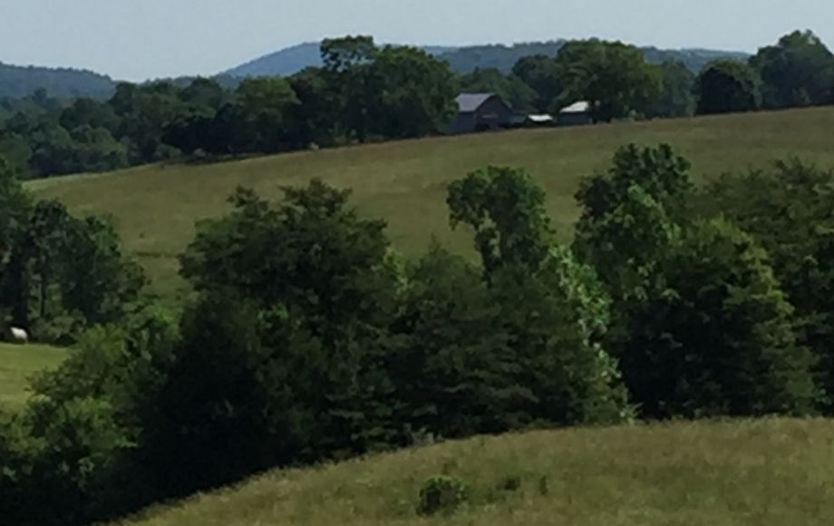 Image for 29 ACRES in the FOOTHILLS of the BLUE RIDGE MOUNTAINS in MADISON COUNTY, VA—ONLINE ONLY BIDDING