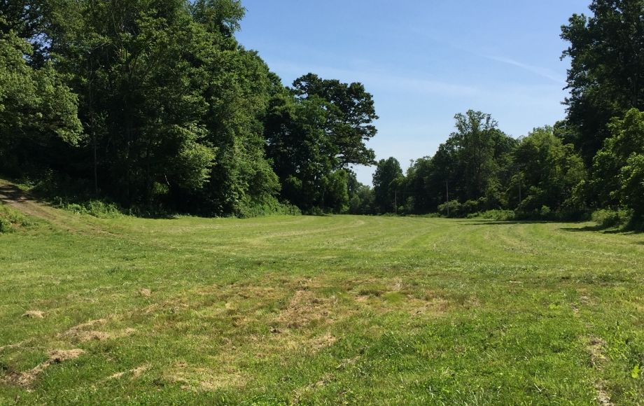 Image for 29 ACRES in the FOOTHILLS of the BLUE RIDGE MOUNTAINS in MADISON COUNTY, VA—ONLINE ONLY BIDDING