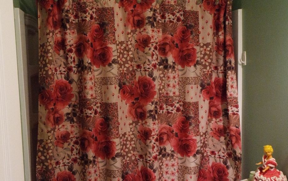 Image for 2 BR/2.5 BA HOME w/OUTBUILDINGS on 4.8 ACRES in ORANGE COUNTY, VA