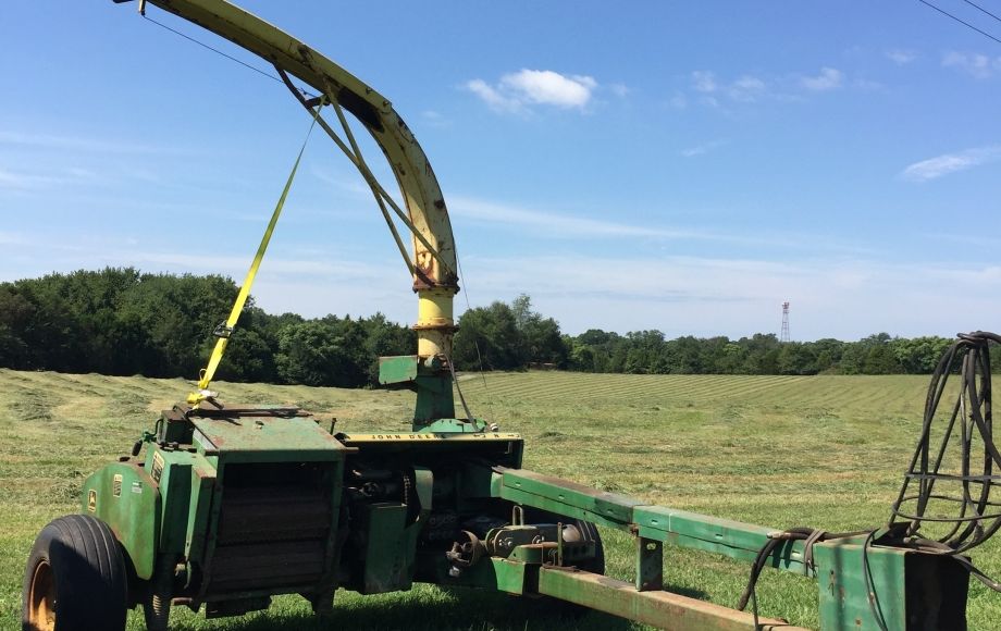 Image for Fall Consignment Auction