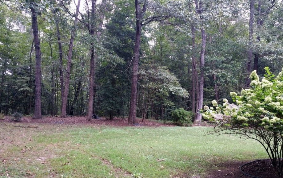 Image for CUSTOM BUILT 4 BR/2.5 BA HOME on 10+ ACRES in HANOVER COUNTY, VA