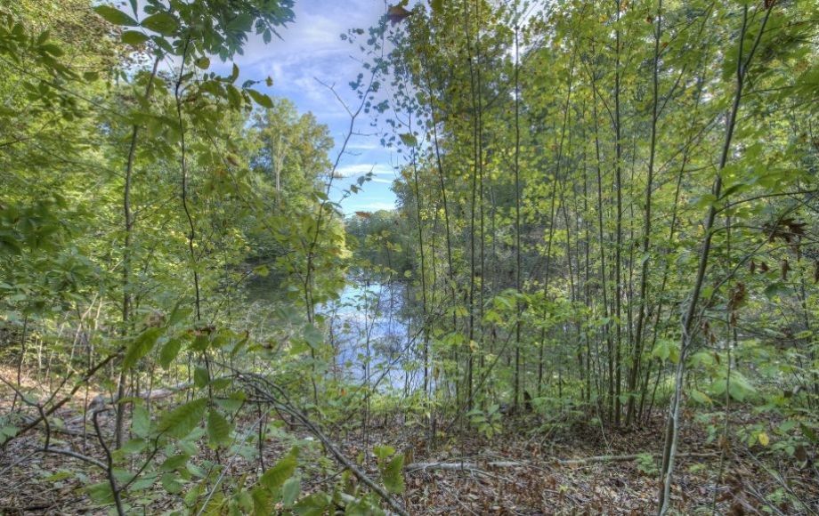 Image for CUSTOM 4 BR/4.5 BA HOME ON 1+ ACRE in BATTLEGROUND ESTATES—CELEBRATE VIRGINIA NORTH