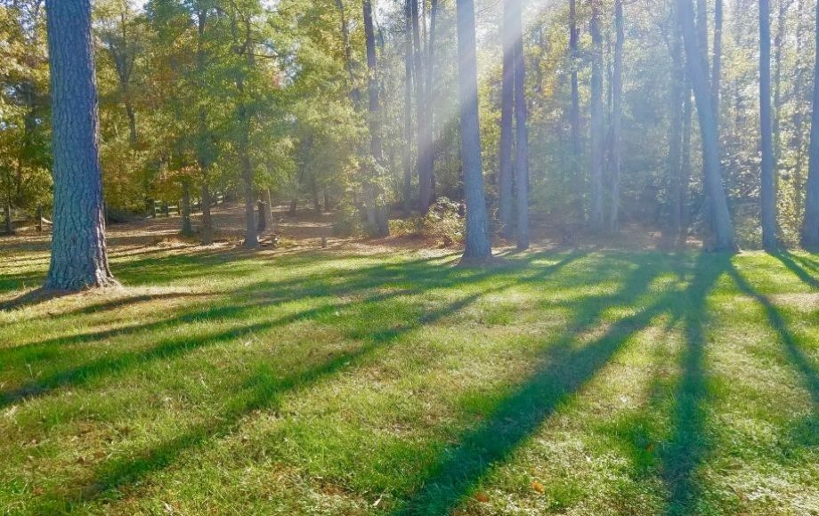 Image for 3 BR/2.5 BA BRICK RANCH on 1.8 +/- ACRES in HANOVER COUNTY, VA