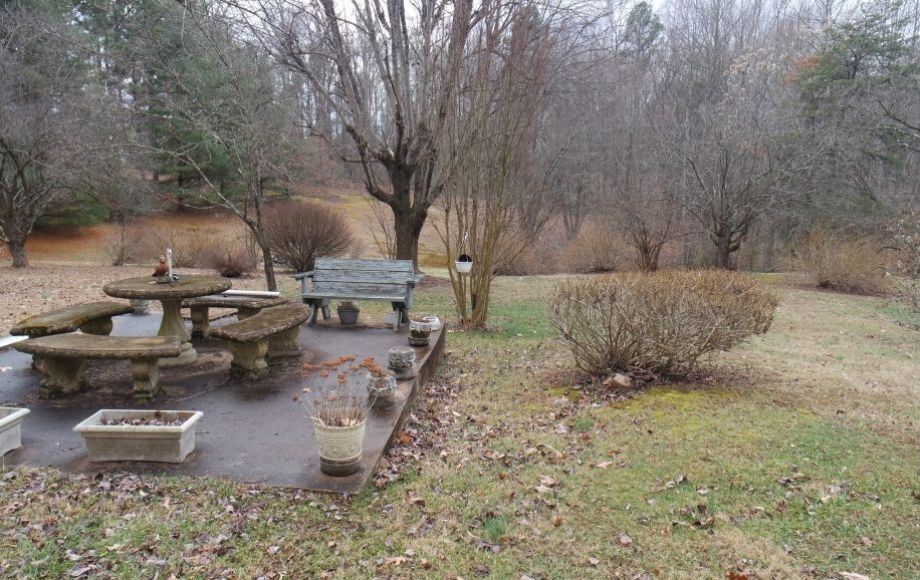 Image for 3 BR/1 BA HOME on 8.4 +/- ACRES in MADISON COUNTY, VA—SELLS to the HIGHEST BIDDER!!