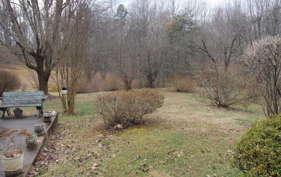Image for 3 BR/1 BA HOME on 8.4 +/- ACRES in MADISON COUNTY, VA—SELLS to the HIGHEST BIDDER!!