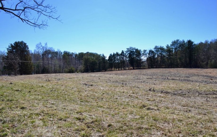 Image for 3 BR/2 BA HOME on 31 +/- ACRES WELL LOCATED ON RIVER ROAD—SPOTSYLVANIA COUNTY, VA