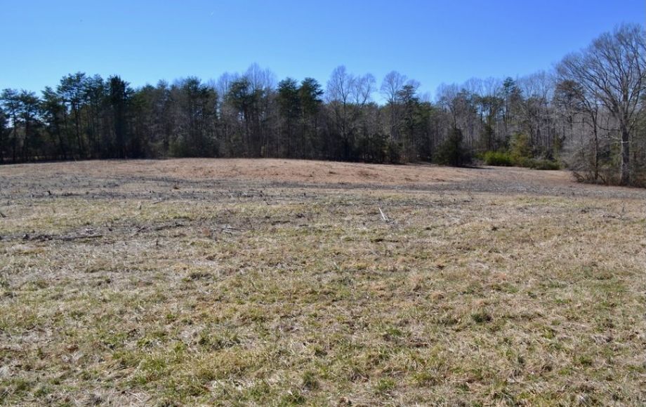 Image for 3 BR/2 BA HOME on 31 +/- ACRES WELL LOCATED ON RIVER ROAD—SPOTSYLVANIA COUNTY, VA