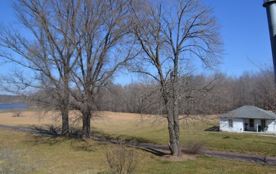 Image for 2 BR BUNGALOW, OUTBUILDINGS & POND on 15.9 +/- ACRES on GORDON RD. ACROSS FROM NI RIVER RESERVOIR