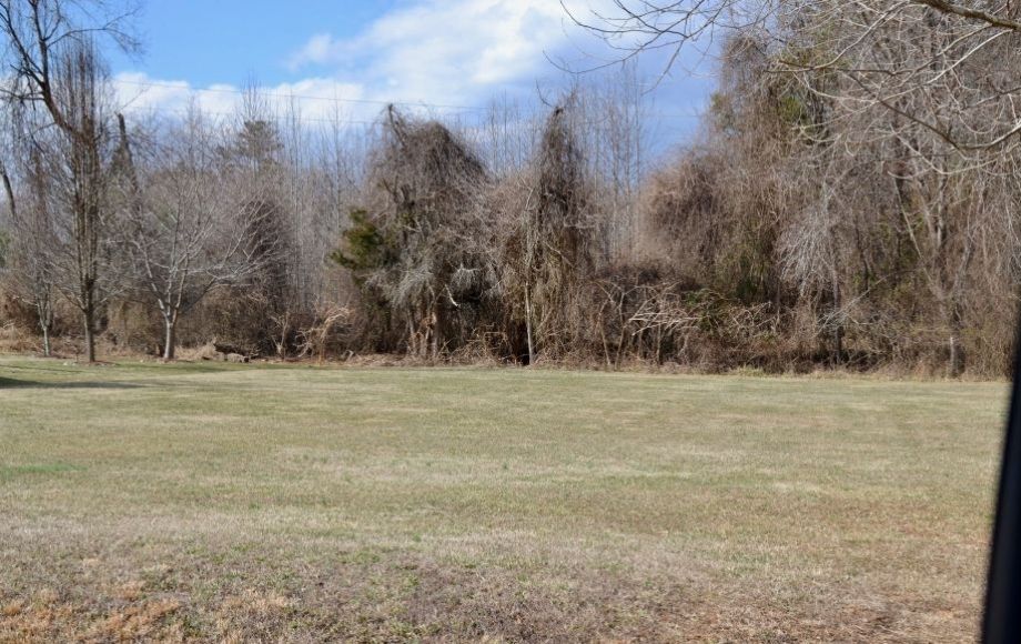 Image for 5 LOTS in SPRING CREEK SUBDIVISION in SPOTSYLVANIA COUNTY, VA—PUBLIC WATER & SEWER