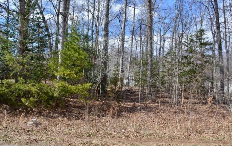 Image for 5 LOTS in SPRING CREEK SUBDIVISION in SPOTSYLVANIA COUNTY, VA—PUBLIC WATER & SEWER