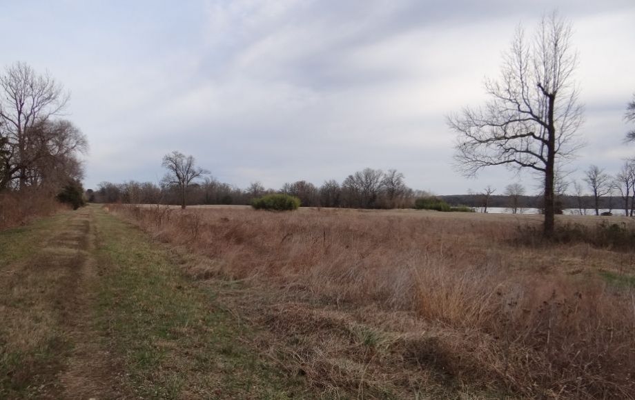 Image for 2 GORGEOUS 13 & 18 ACRE RAPPAHANNOCK RIVER FRONT LOTS in KING GEORGE COUNTY, VA