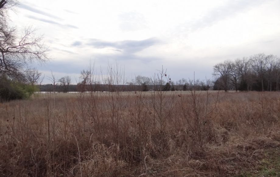 Image for 2 GORGEOUS 13 & 18 ACRE RAPPAHANNOCK RIVER FRONT LOTS in KING GEORGE COUNTY, VA