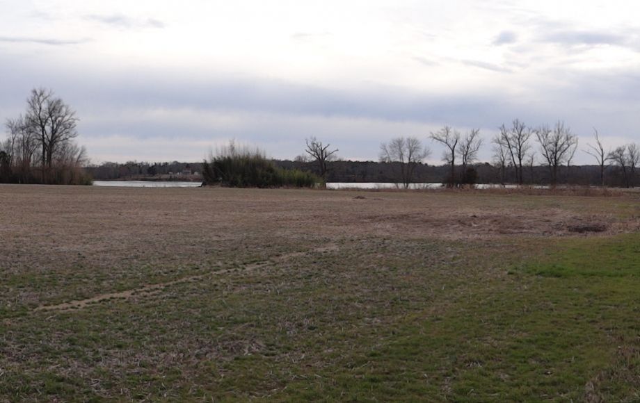 Image for 2 GORGEOUS 13 & 18 ACRE RAPPAHANNOCK RIVER FRONT LOTS in KING GEORGE COUNTY, VA