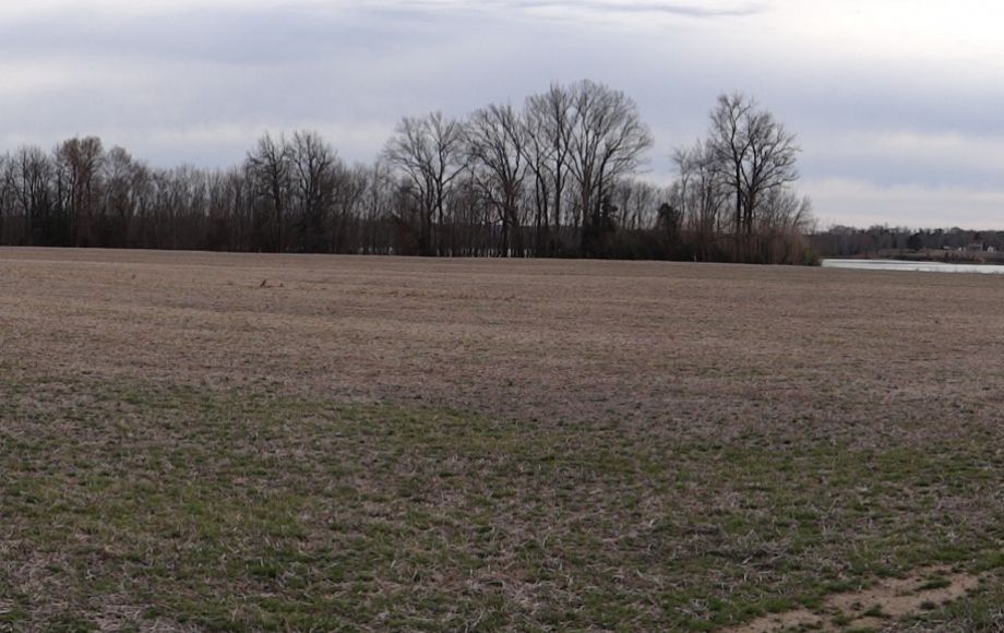 Image for 2 GORGEOUS 13 & 18 ACRE RAPPAHANNOCK RIVER FRONT LOTS in KING GEORGE COUNTY, VA