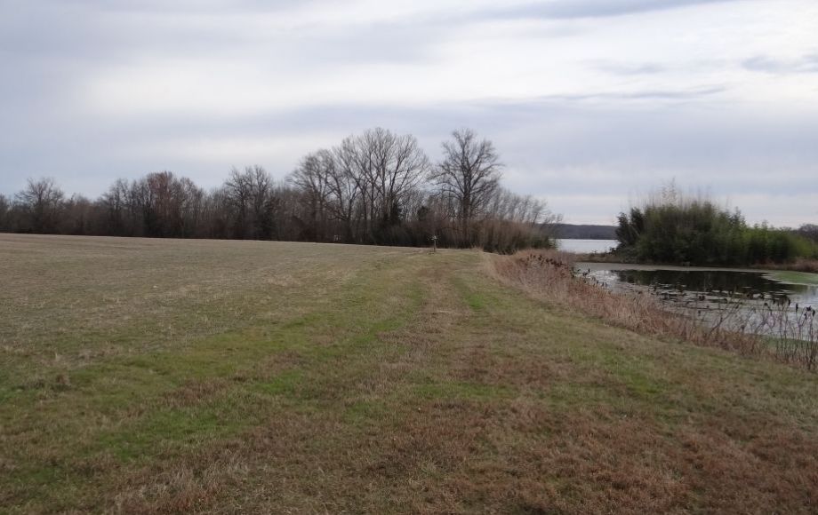 Image for 2 GORGEOUS 13 & 18 ACRE RAPPAHANNOCK RIVER FRONT LOTS in KING GEORGE COUNTY, VA