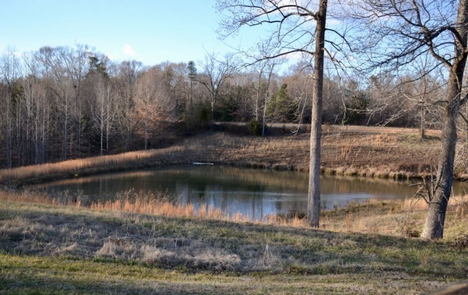 Image for LINDEN HOUSE PLANTATION on 204 +/- ACRES in ESSEX COUNTY, VA