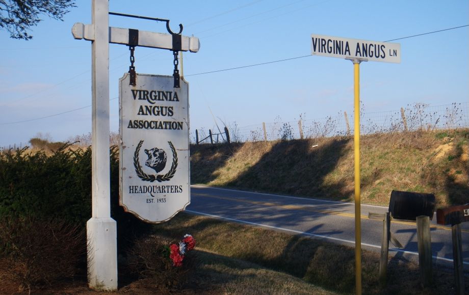 Image for 3 BR/2.5 BA HOME on .9 +/- ACRES in STAUNTON, VA—SELLS to the HIGHEST BIDDER!!