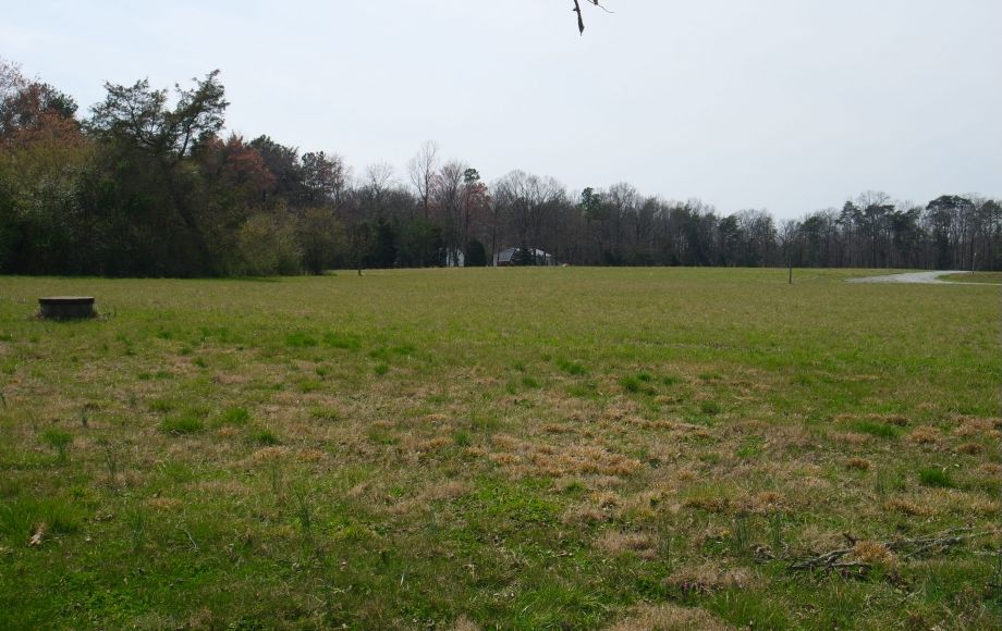 Image for 7.3 +/- ACRES w/500’+ of RT. 1 FRONTAGE in HANOVER COUNTY NEAR KINGS DOMINION & I-95