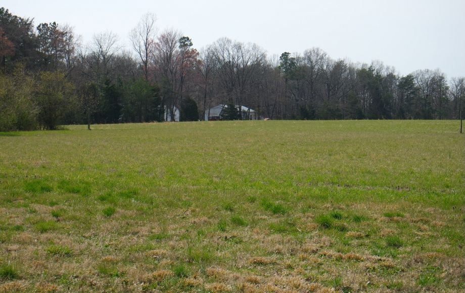 Image for 7.3 +/- ACRES w/500’+ of RT. 1 FRONTAGE in HANOVER COUNTY NEAR KINGS DOMINION & I-95