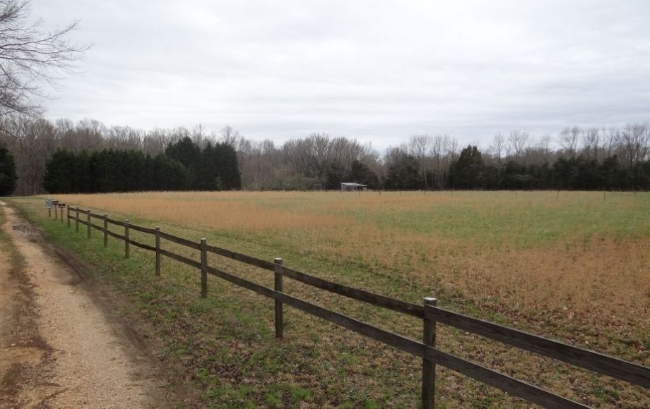 Image for 3 BR/2 BA Home on 10.5 +/- Acres in Charles County, MD—SELLS to the HIGHEST BIDDER!!
