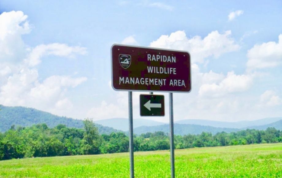 Maxresdefault  detail