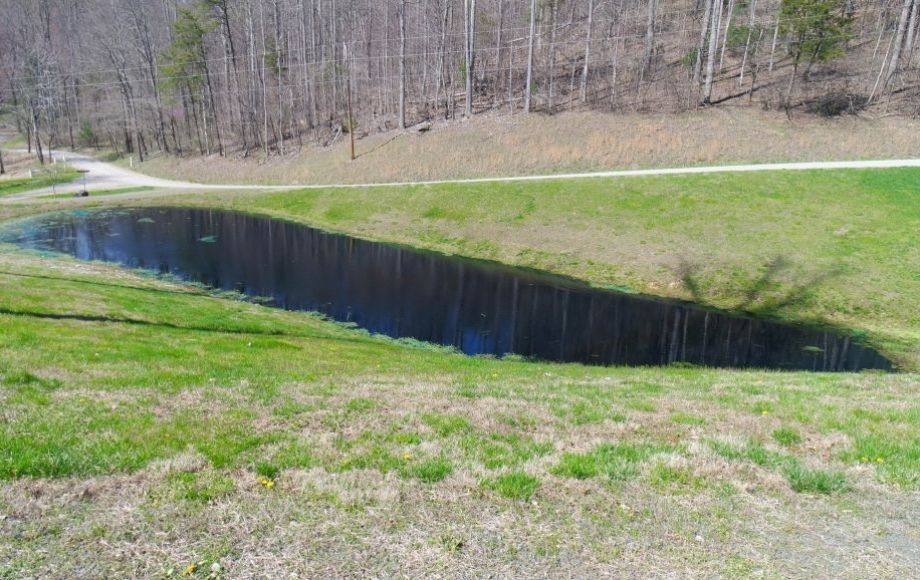 Image for Immaculate 3 BR/2 BA Mountain Retreat Home on 2.3 +/- Acres w/Stocked Pond—Madison, VA