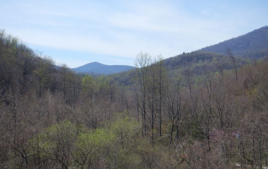 Image for Immaculate 3 BR/2 BA Mountain Retreat Home on 2.3 +/- Acres w/Stocked Pond—Madison, VA