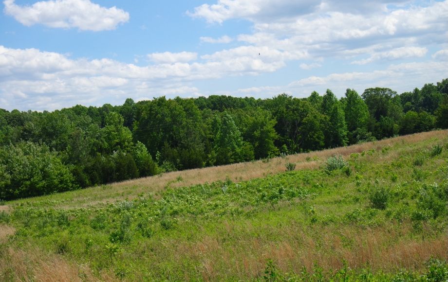 Image for 4 Approved Building Lots Totaling 21+ Acres in Orange County, VA—ONLINE BIDDING ONLY!!