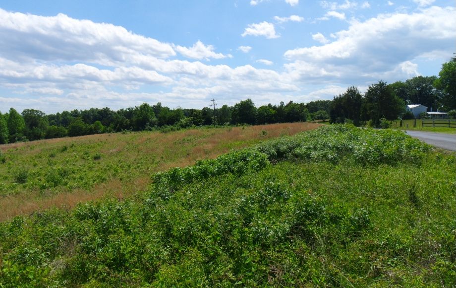 Image for 4 Approved Building Lots Totaling 21+ Acres in Orange County, VA—ONLINE BIDDING ONLY!!