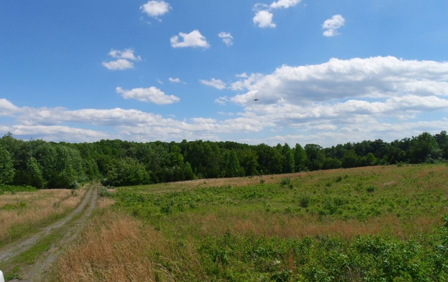 Image for 4 Approved Building Lots Totaling 21+ Acres in Orange County, VA—ONLINE BIDDING ONLY!!