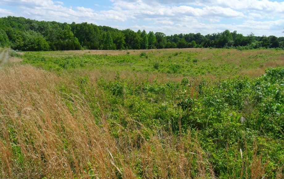 Image for 4 Approved Building Lots Totaling 21+ Acres in Orange County, VA—ONLINE BIDDING ONLY!!