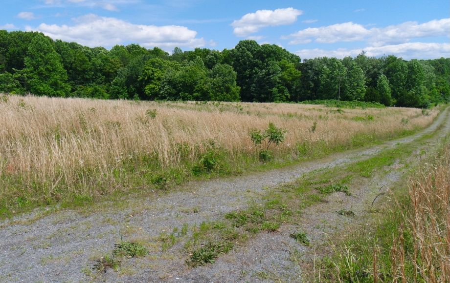 Image for 4 Approved Building Lots Totaling 21+ Acres in Orange County, VA—ONLINE BIDDING ONLY!!