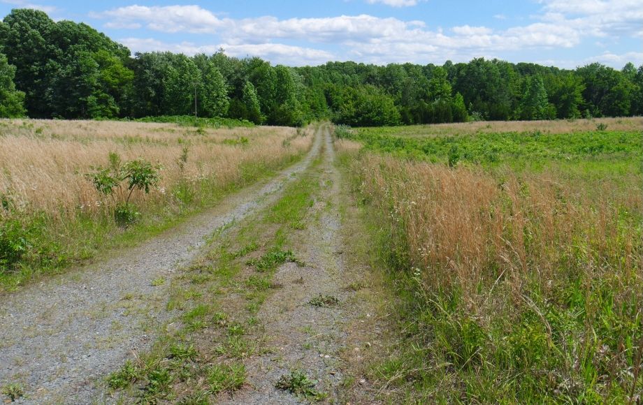 Image for 4 Approved Building Lots Totaling 21+ Acres in Orange County, VA—ONLINE BIDDING ONLY!!