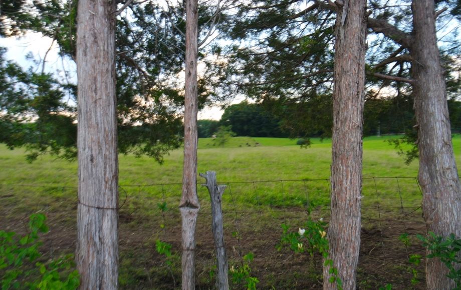 Image for 4 Approved Building Lots Totaling 21+ Acres in Orange County, VA—ONLINE BIDDING ONLY!!