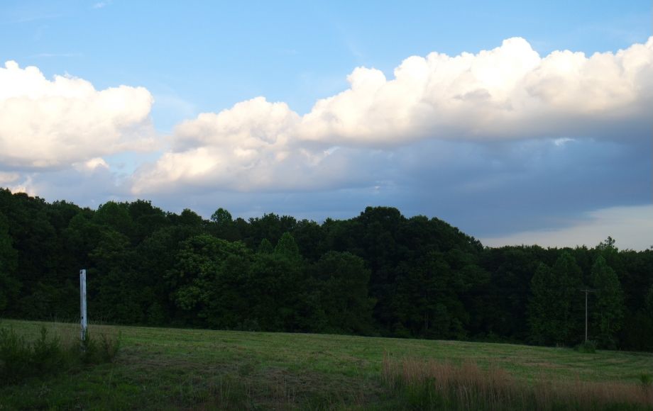 Image for 4 Approved Building Lots Totaling 21+ Acres in Orange County, VA—ONLINE BIDDING ONLY!!