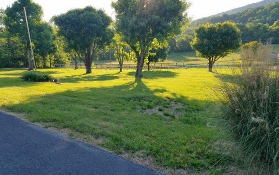 Image for Clean 3 BR/2.5 BA Brick Home on 3+ Acres in Western Albemarle County, VA