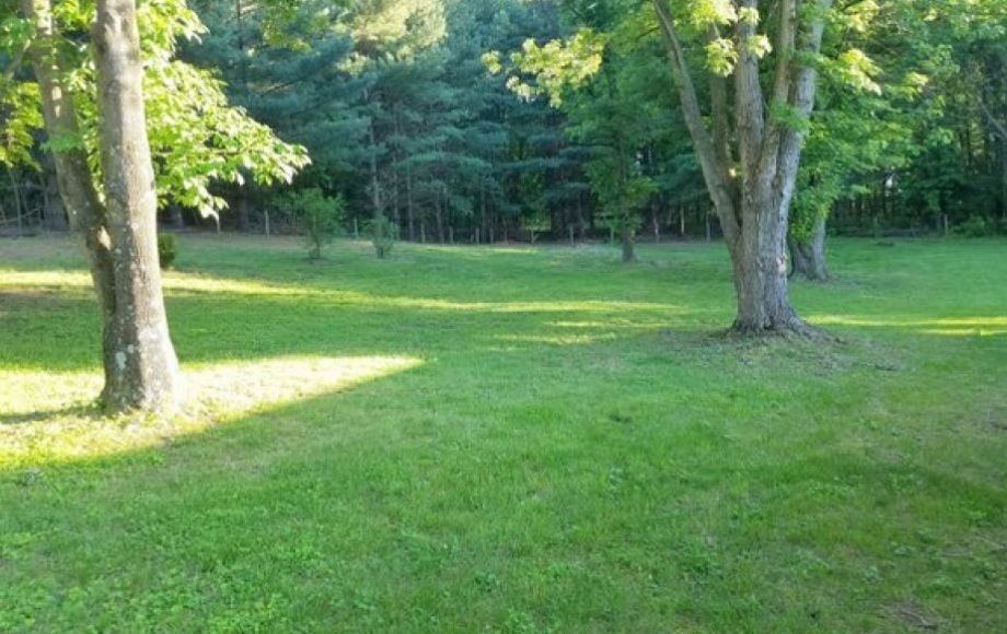 Image for Clean 3 BR/2.5 BA Brick Home on 3+ Acres in Western Albemarle County, VA