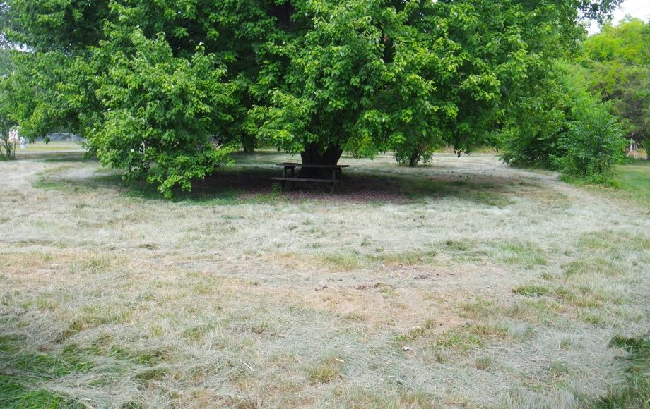 Image for 4 BR Home in Orange County, VA—Sells to the Highest Bidder!!