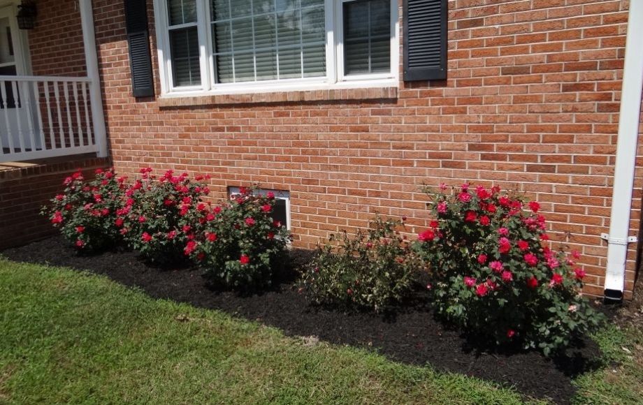 Image for Solid 3 BR/1.5 BA Brick Home on 2.75+/- Acre Double Lot—Caroline County, VA