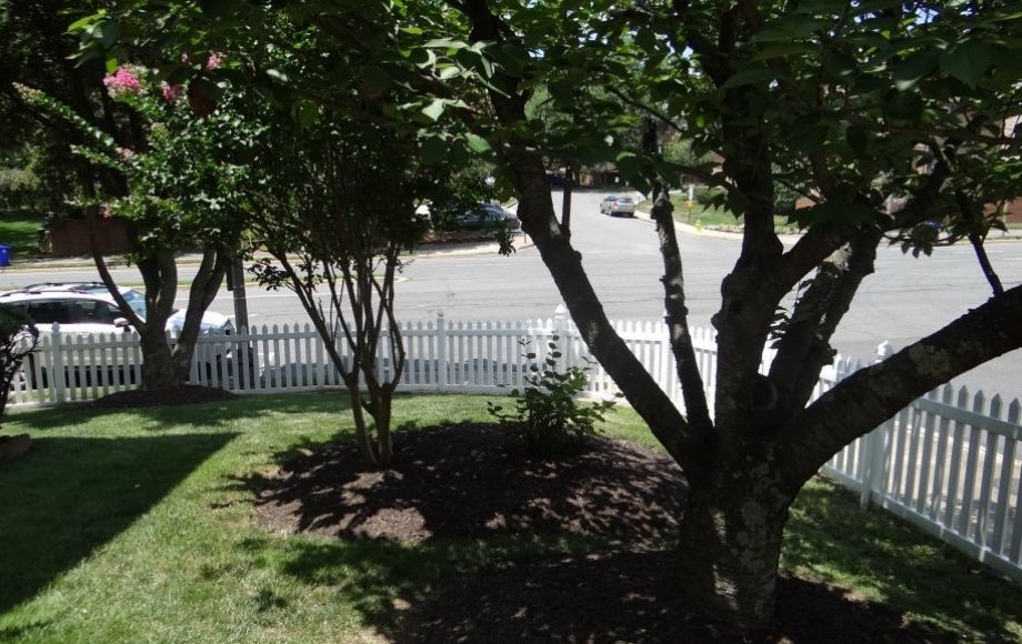 Image for 3 BR/2.5 BA Home in Arlington, VA w/in Walking Distance to Metro Station and 7 miles from DC!