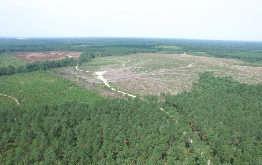 Image for 5 +/- Acre Timber Parcel—Sells to the Highest Bidder!!  ONLINE ONLY BIDDING!!