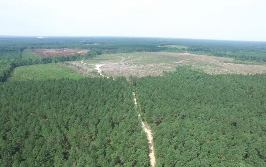 Image for 5 +/- Acre Timber Parcel—Sells to the Highest Bidder!!  ONLINE ONLY BIDDING!!