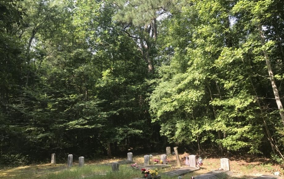 Image for 3.12 +/- Acre Wooded Parcel—Sells to the Highest Bidder!!  ONLINE ONLY BIDDING!!